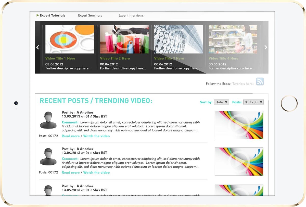 SAS Expert Channel interface